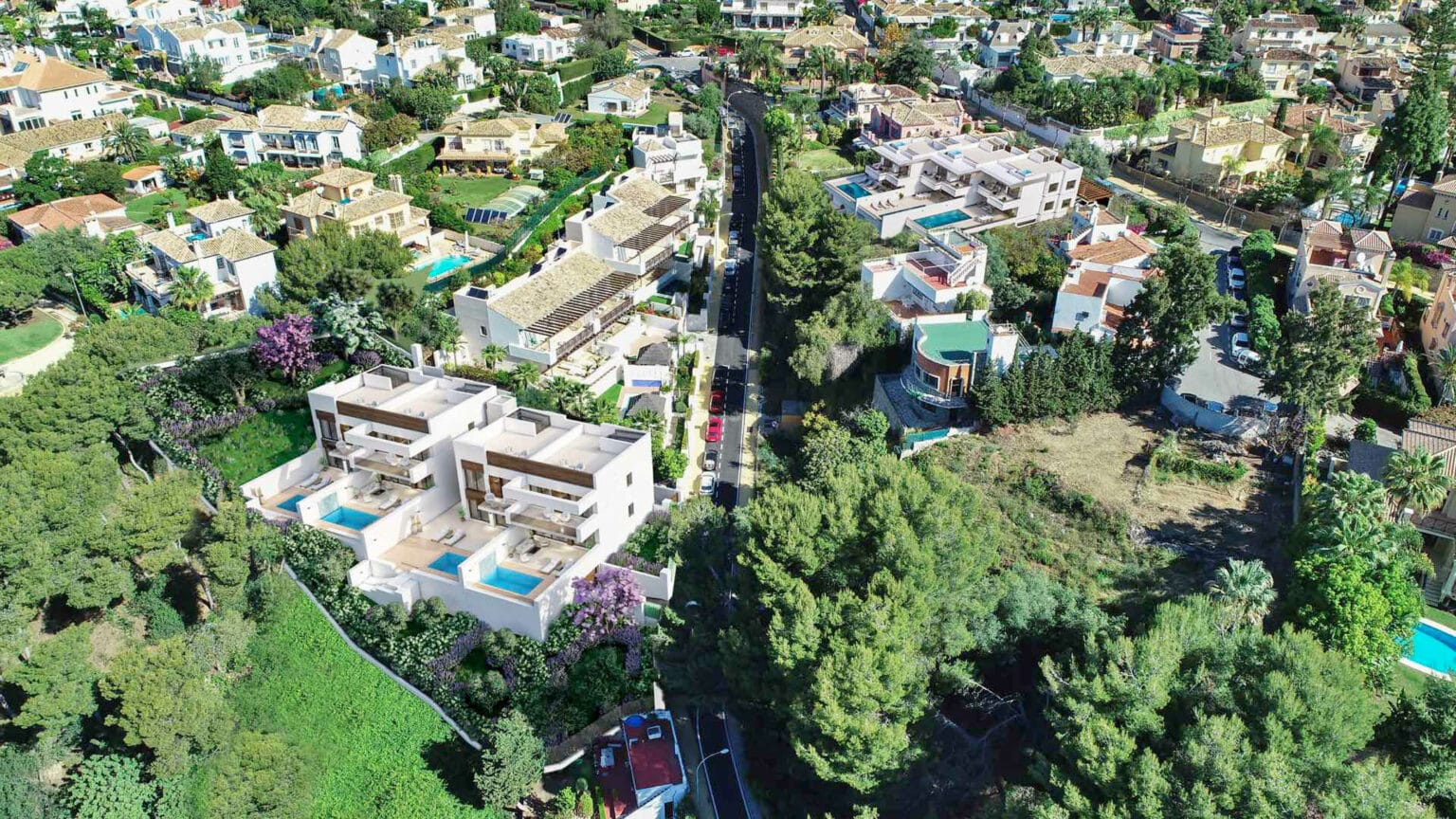 huerta-belon-topview-2